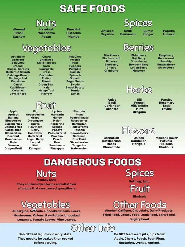 safe-unsafe-foods-600x800.jpg